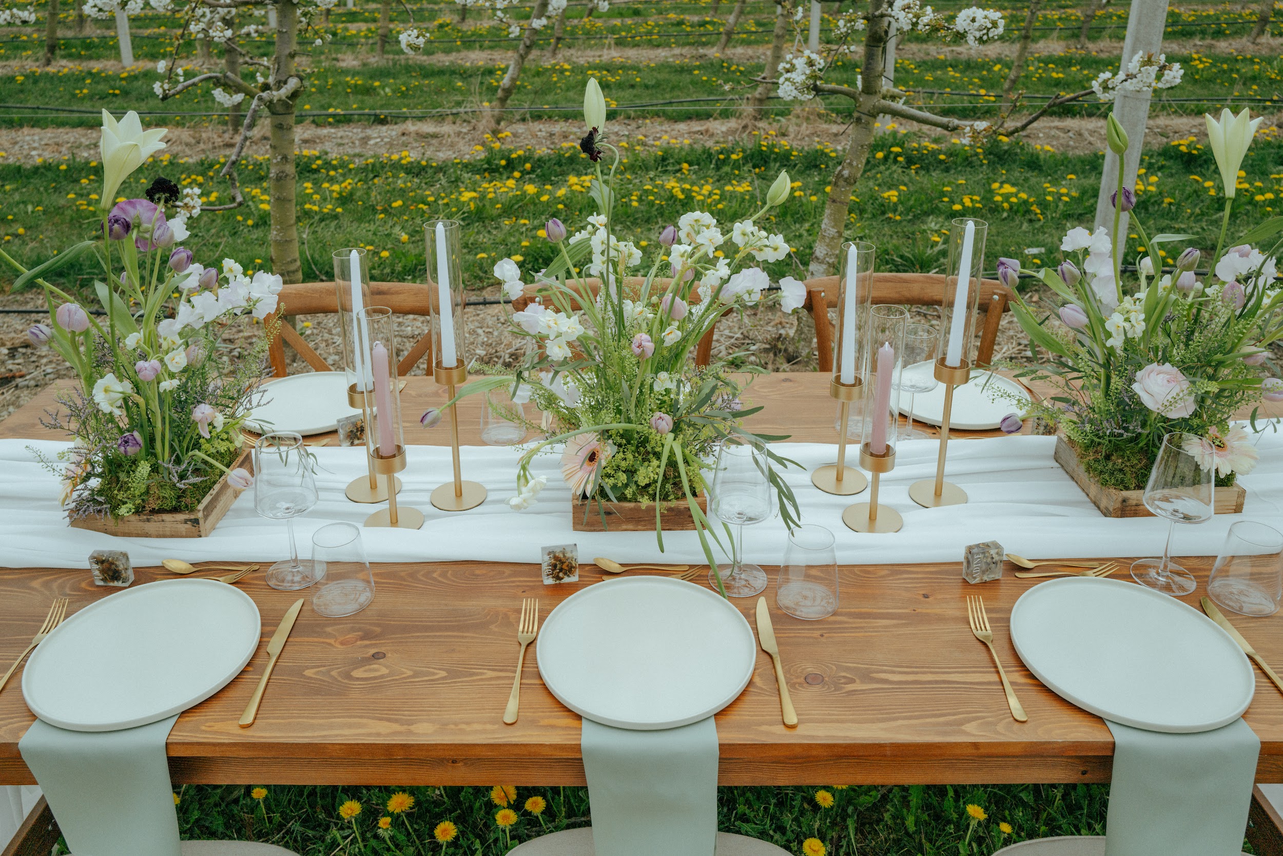 Modernes Hochzeitsszenario unter freiem Himmel mit edler Dekoration